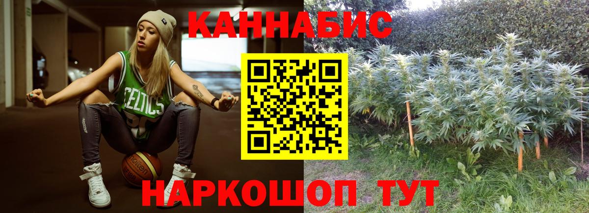 МАРИХУАНА план Сокол